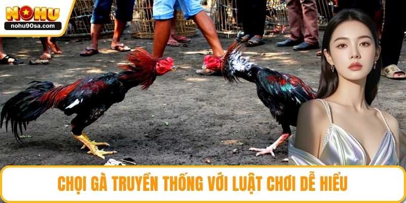 Chọi gà truyền thống với luật chơi dễ hiểu