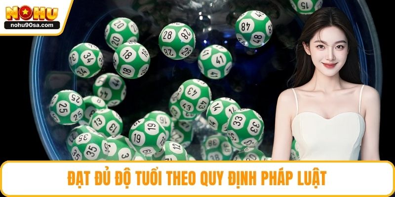 Đạt đủ độ tuổi theo quy định pháp luật
