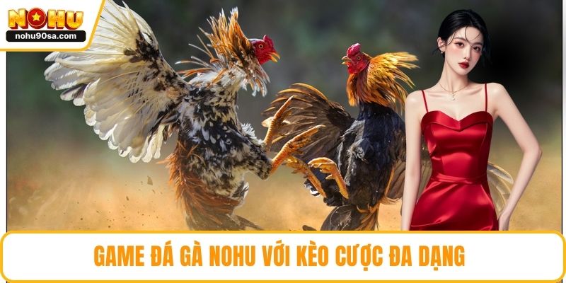 Game đá gà NOHU với kèo cược đa dạng