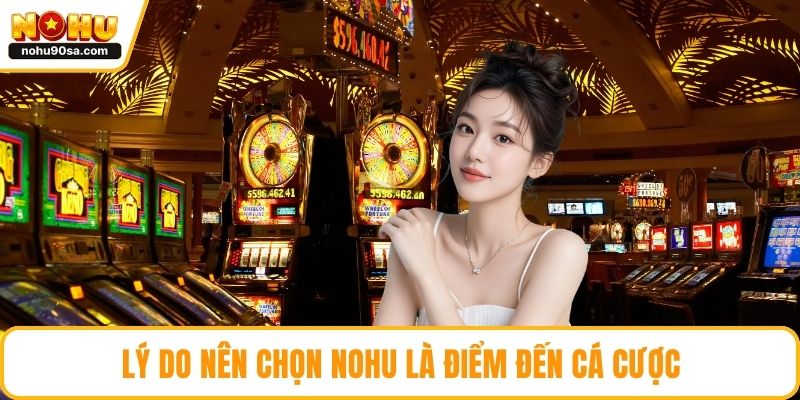 Lý do nên chọn NOHU là điểm đến cá cược