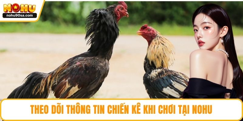 Theo dõi thông tin chiến kê khi chơi tại NOHU